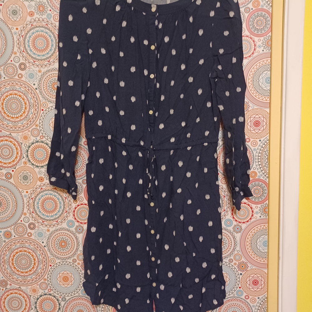 LOFT Navy Polka Dot Dress